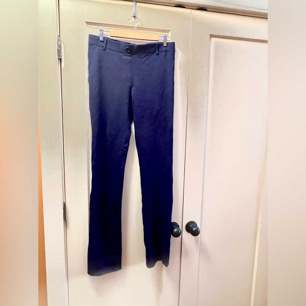 Navy dress-pants/ yoga-pants.
